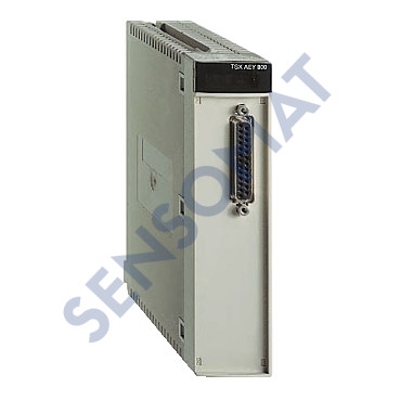 TSXAEY810 SCHNEIDER Analog Giriş Modülü