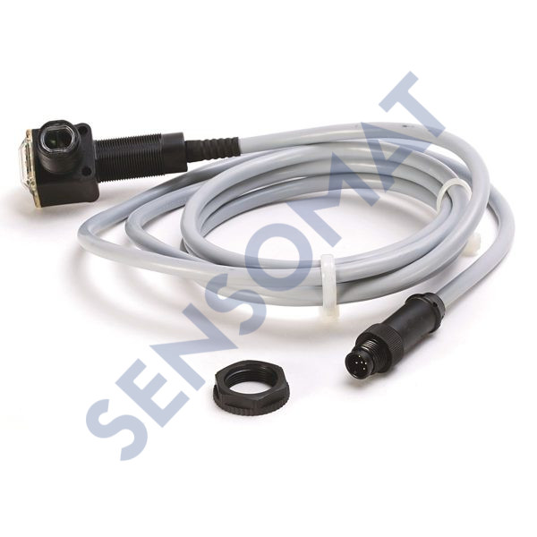 42EF-P2RFB-G4 Allen-Bradley RightSight Photos