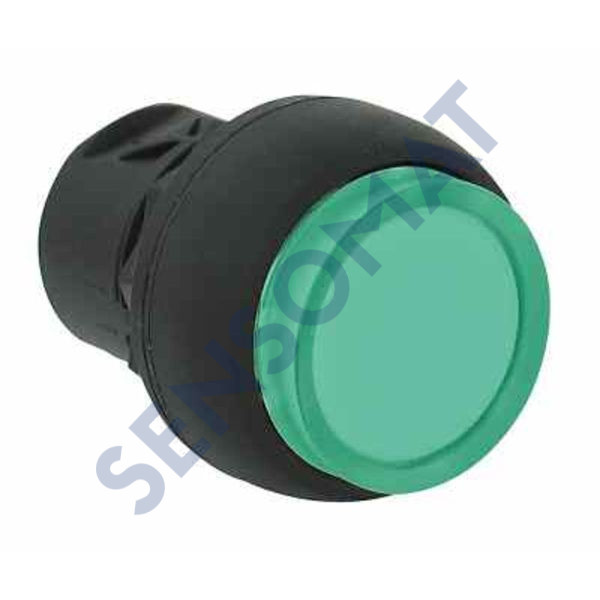 800FM-LE7-BP Allen-Bradley 22mm Momentary Pus